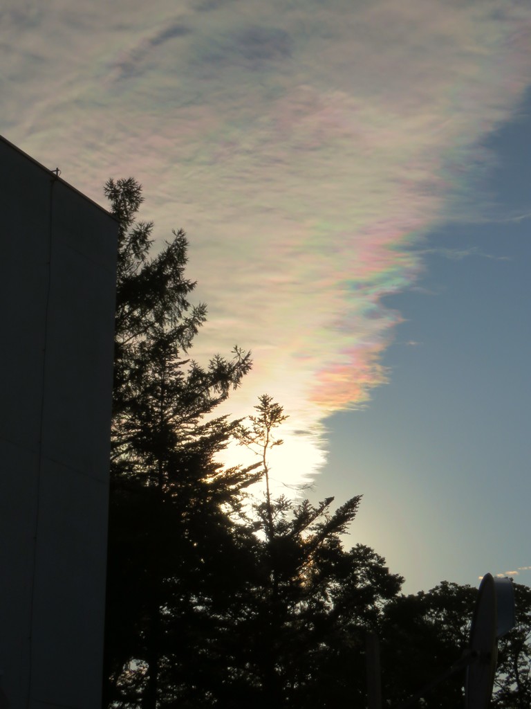 彩雲or夕焼け