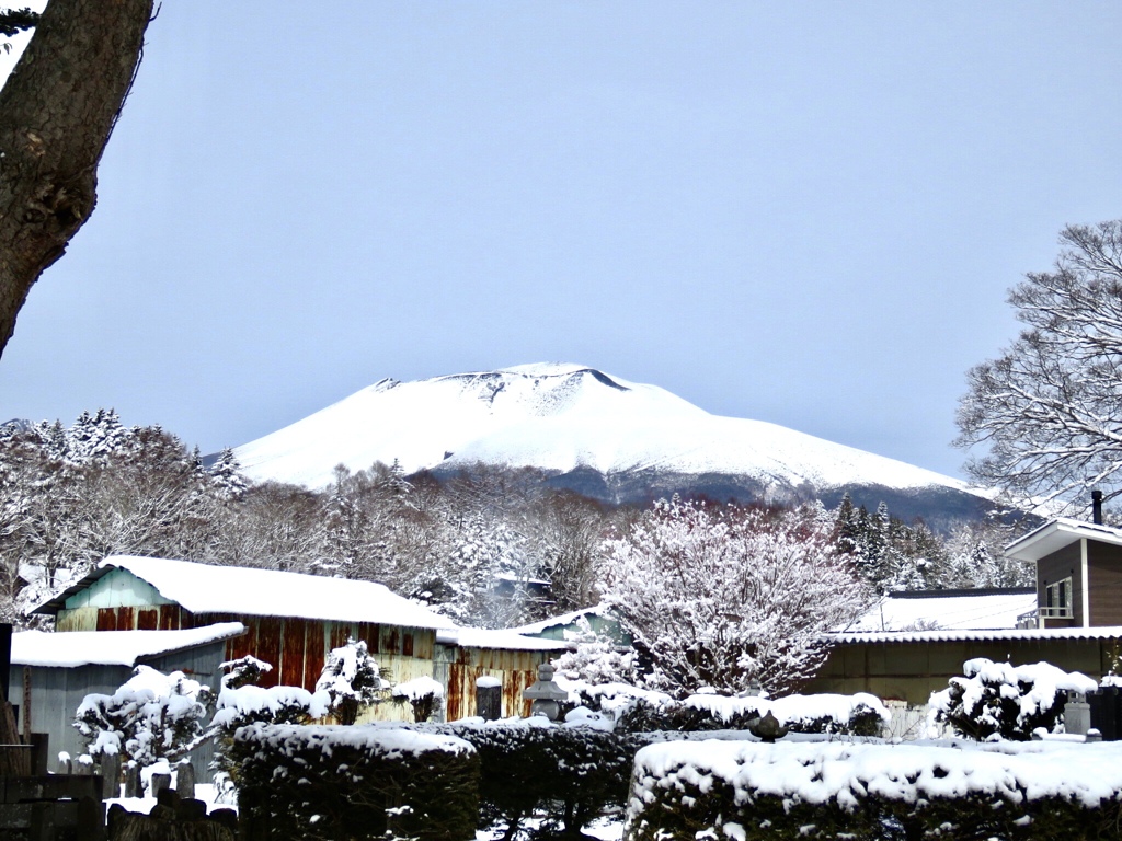 今朝の浅間山2