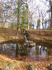 長倉神社の池