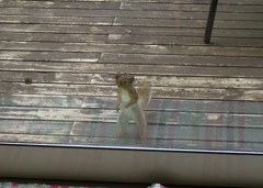 もっと何かなーい