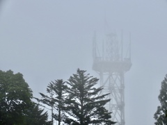 霧1