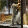 しっかり踏ん張って