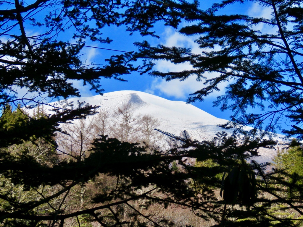 木の間の浅間山