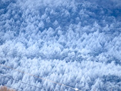 浅間山の霧氷