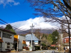 本格的冠雪2