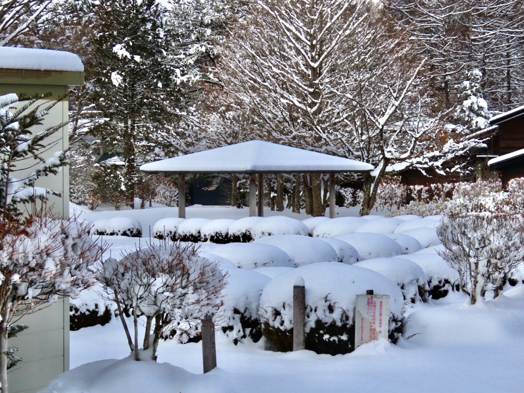 雪饅頭