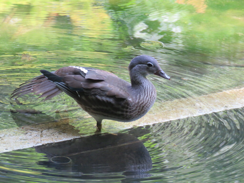 伸びー