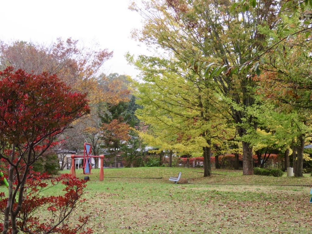 近所の公園