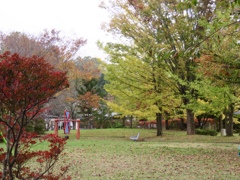 近所の公園