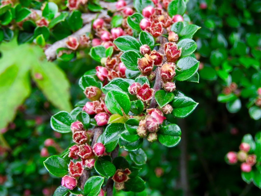 これはなんでしょう？