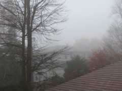今朝の霧
