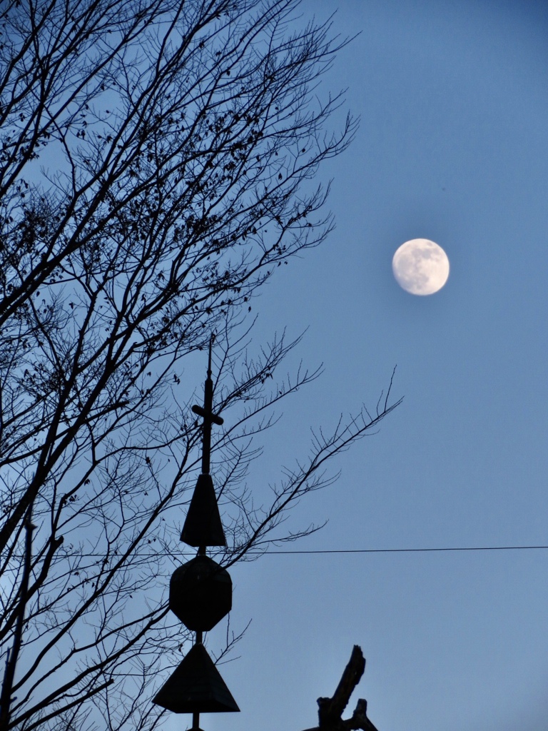 夕方の月