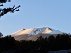 夕陽を受けて