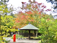 軽井沢の紅葉2