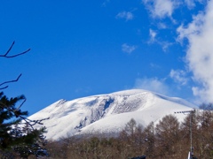 本格的冠雪