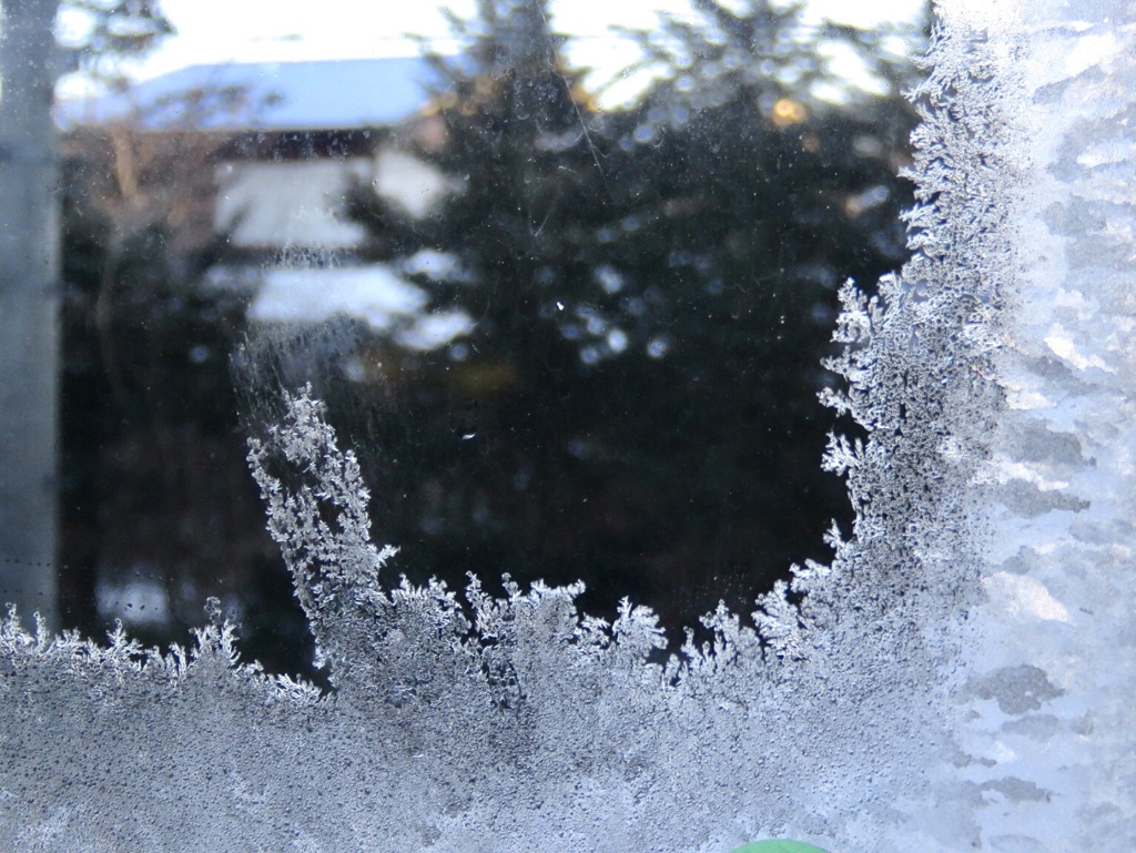 氷の華1