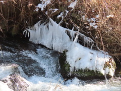 飛沫氷