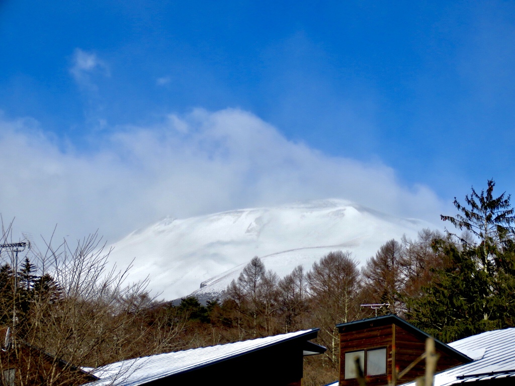 あけましておめでとうございます