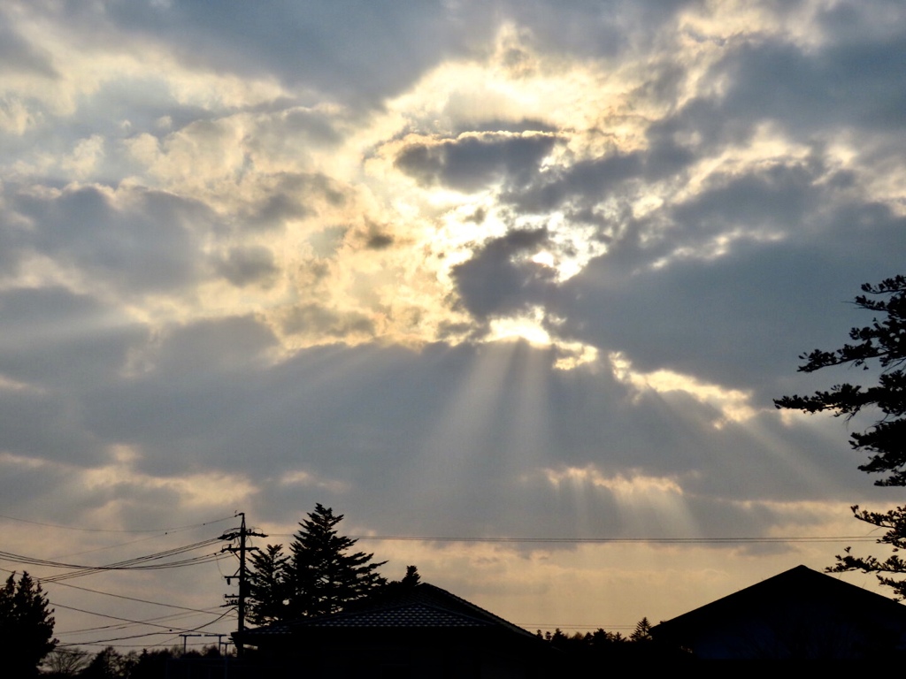 夕方の光芒