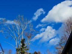 冬晴れの空