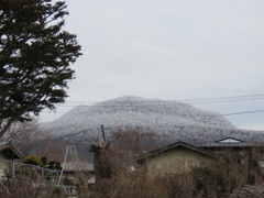 今朝も真っ白