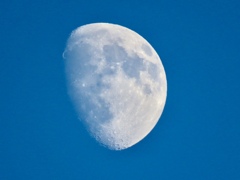 夕方の月