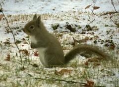 雪の中で