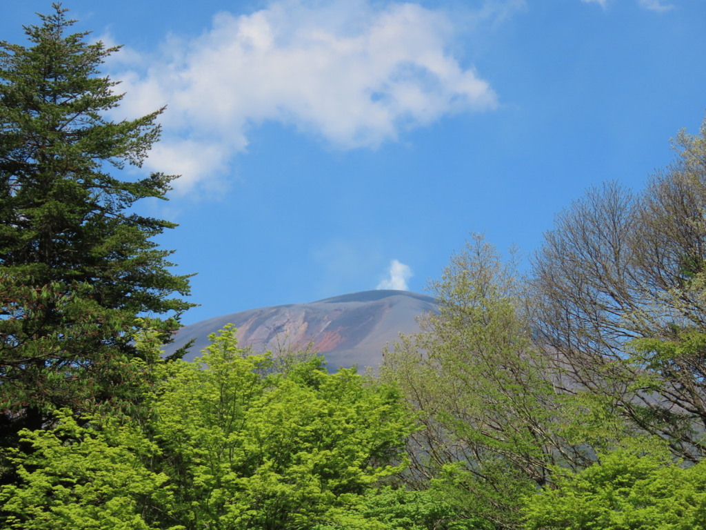 ケラ池から見た浅間山