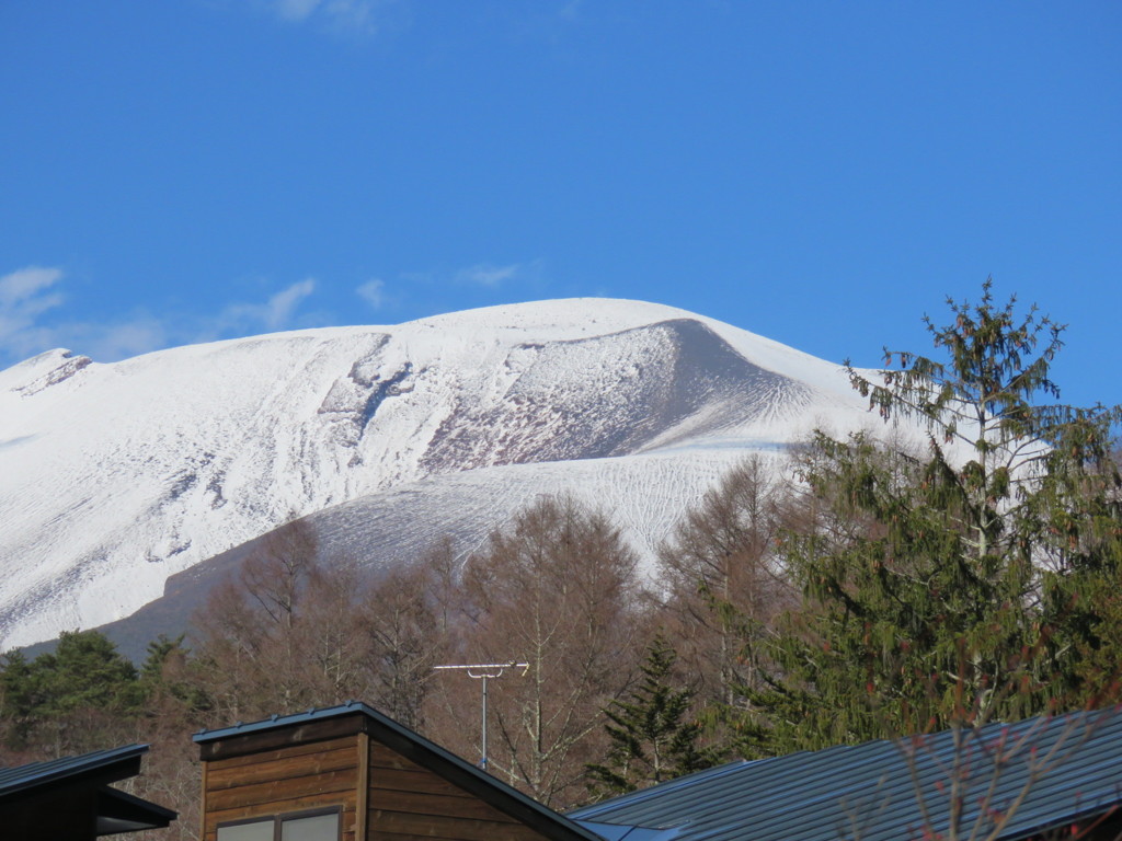 雪が溶けている部分