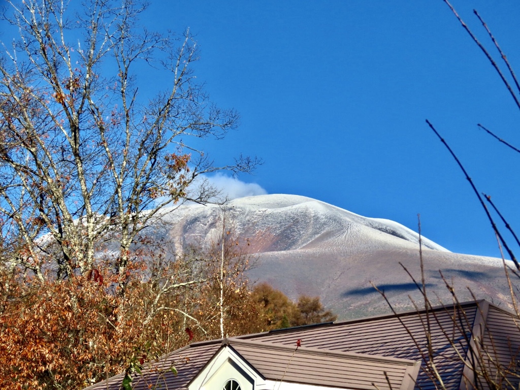 初冠雪の翌朝
