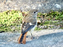 少し大人びてきたね