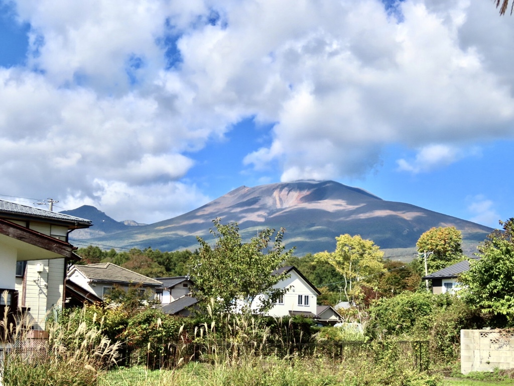 マダラ模様