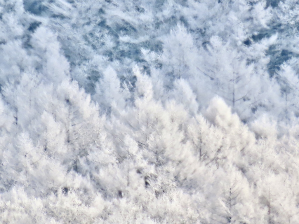 霧氷2