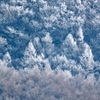 霧氷