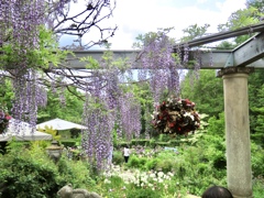 バラクライングリッシュガーデン3