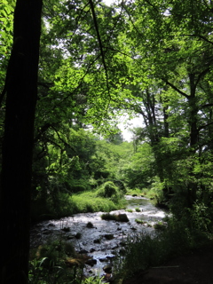 湯川