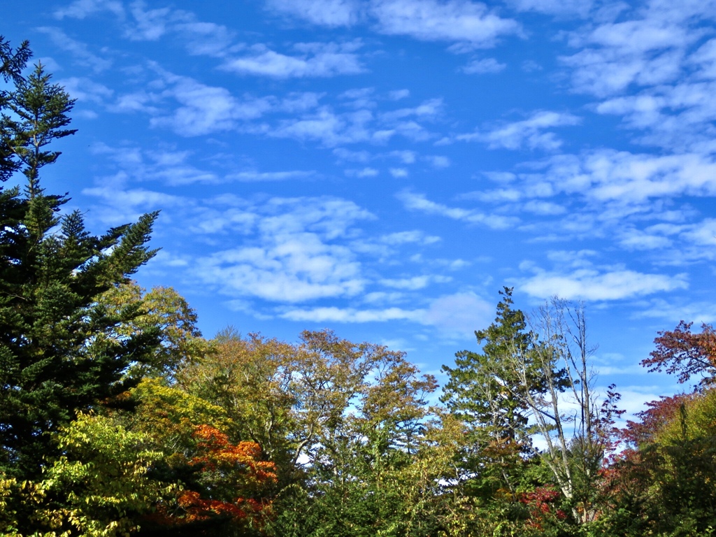 始まった紅葉と秋の空