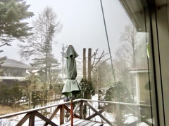 霧の朝