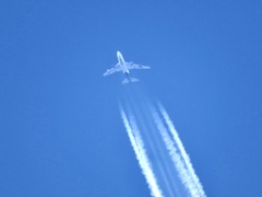 珍しい飛行機