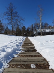 雪の中の一本道
