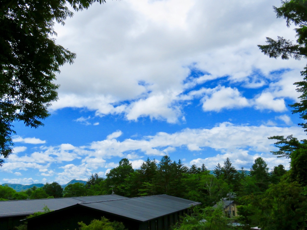 梅雨の晴れ間3