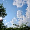 夕方の空