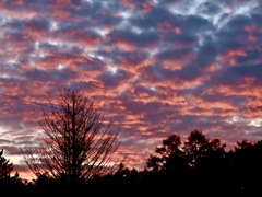夕方の空