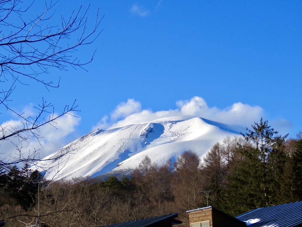 雪化粧