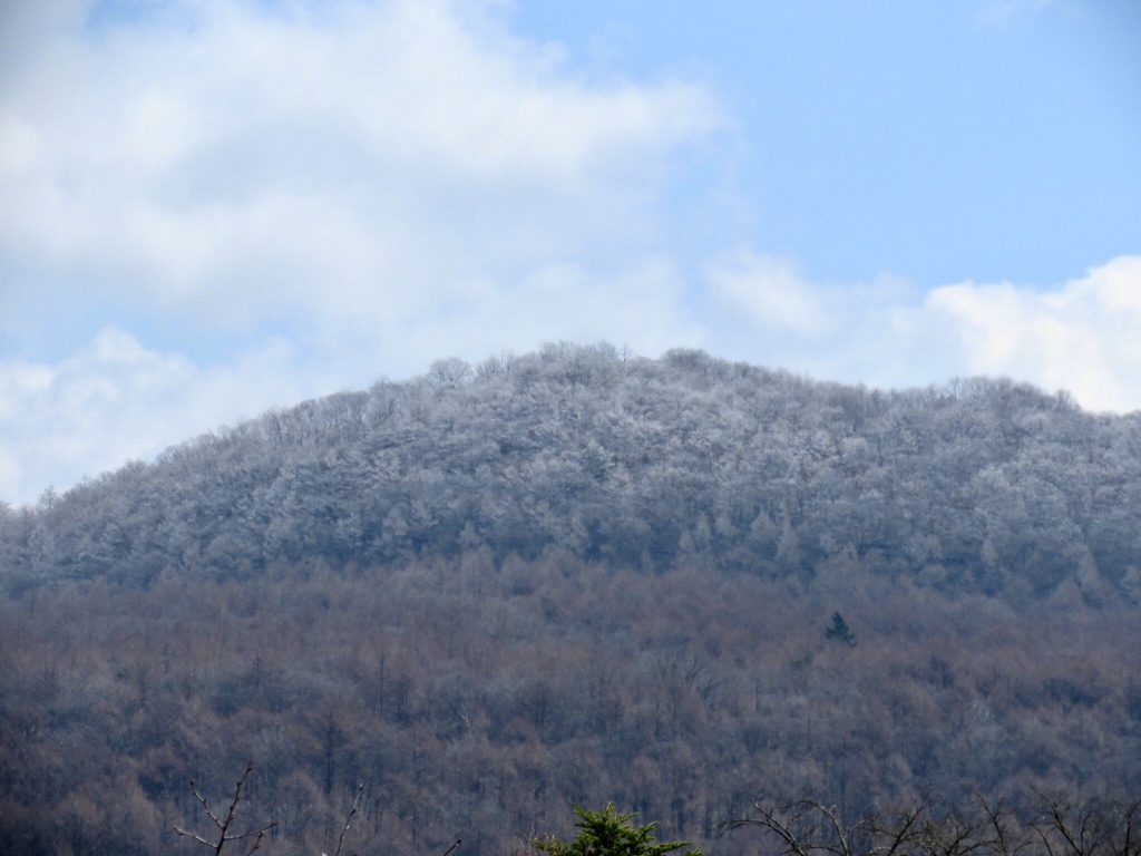 今朝の離山