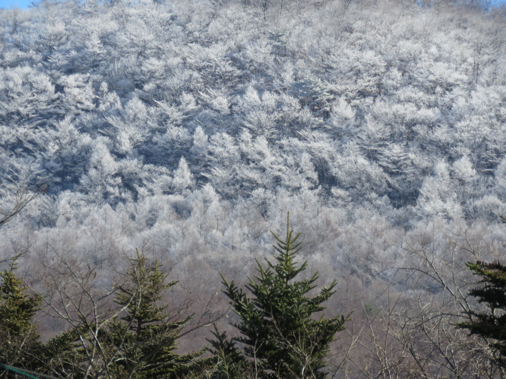 離山