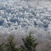 離山