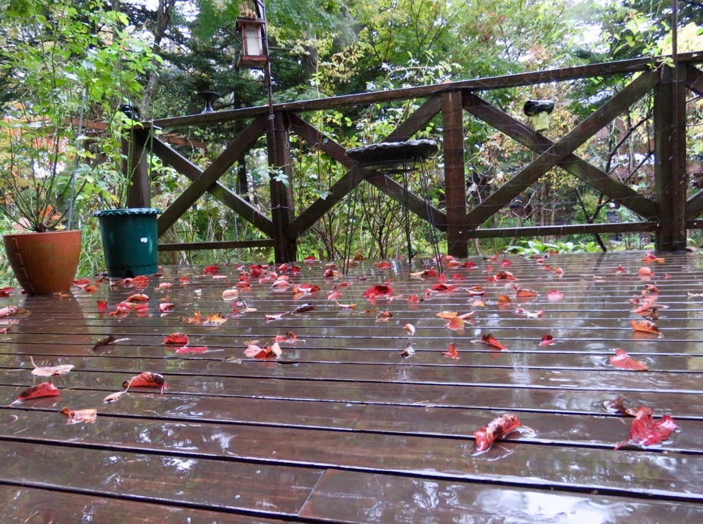 デッキの落ち葉