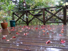 デッキの落ち葉