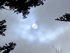 雲間に